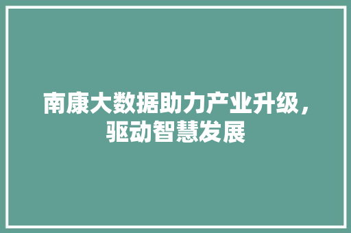 南康大数据助力产业升级，驱动智慧发展