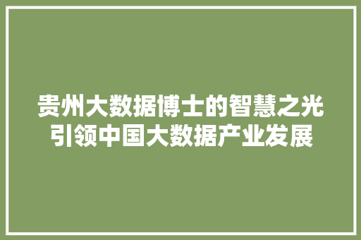贵州大数据博士的智慧之光引领中国大数据产业发展  第1张