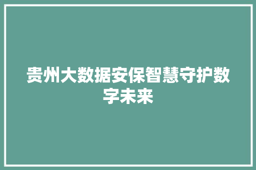 贵州大数据安保智慧守护数字未来
