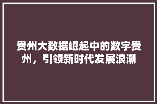 贵州大数据崛起中的数字贵州，引领新时代发展浪潮  第1张