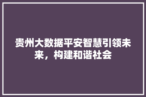 贵州大数据平安智慧引领未来，构建和谐社会  第1张