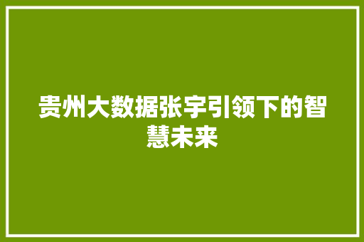 贵州大数据张宇引领下的智慧未来  第1张