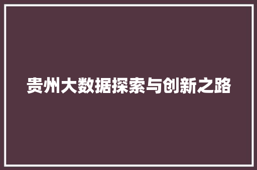 贵州大数据探索与创新之路  第1张