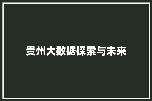 贵州大数据探索与未来  第1张