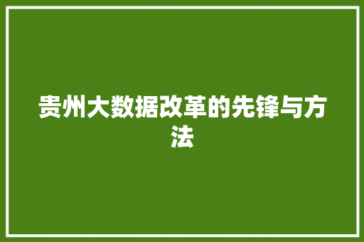 贵州大数据改革的先锋与方法  第1张