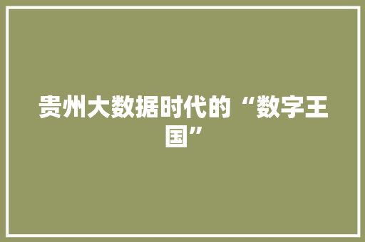 贵州大数据时代的“数字王国”