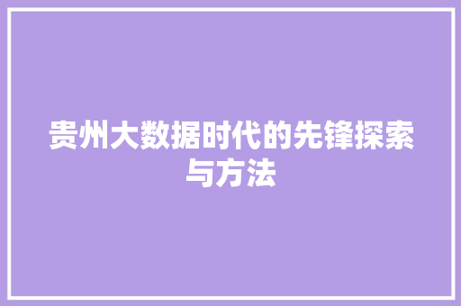 贵州大数据时代的先锋探索与方法  第1张