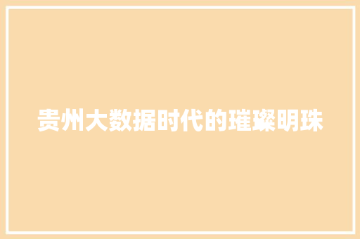 贵州大数据时代的璀璨明珠  第1张