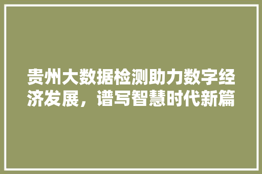 贵州大数据检测助力数字经济发展，谱写智慧时代新篇章
