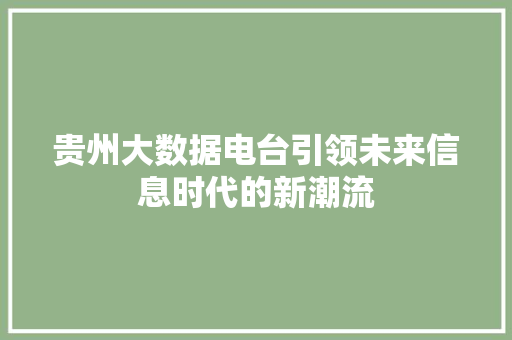 贵州大数据电台引领未来信息时代的新潮流  第1张