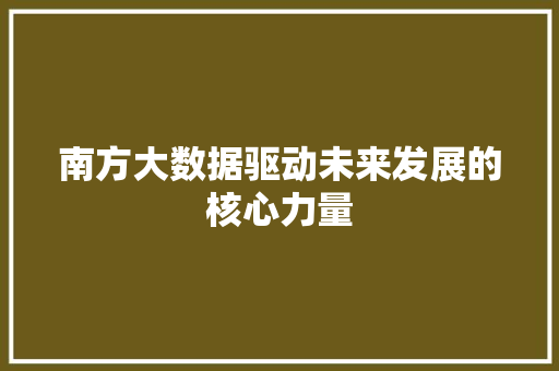 南方大数据驱动未来发展的核心力量