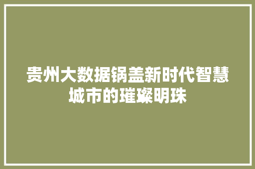 贵州大数据锅盖新时代智慧城市的璀璨明珠