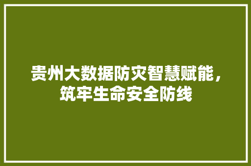 贵州大数据防灾智慧赋能，筑牢生命安全防线
