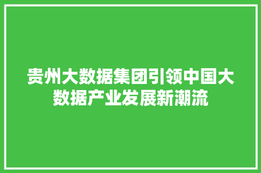 贵州大数据集团引领中国大数据产业发展新潮流  第1张