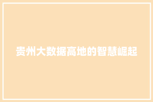 贵州大数据高地的智慧崛起  第1张