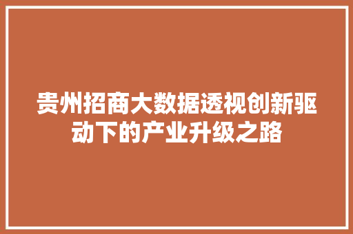 贵州招商大数据透视创新驱动下的产业升级之路