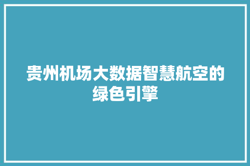 贵州机场大数据智慧航空的绿色引擎  第1张