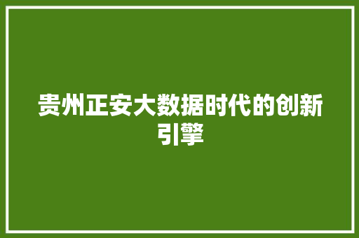贵州正安大数据时代的创新引擎