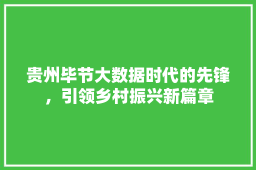 贵州毕节大数据时代的先锋，引领乡村振兴新篇章