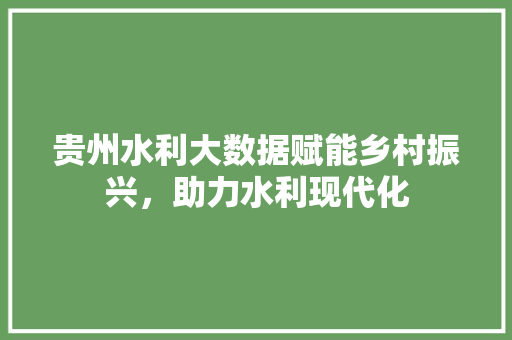 贵州水利大数据赋能乡村振兴，助力水利现代化