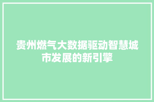 贵州燃气大数据驱动智慧城市发展的新引擎