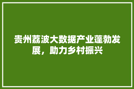 贵州荔波大数据产业蓬勃发展，助力乡村振兴  第1张