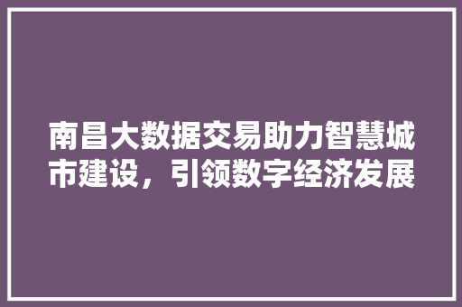 南昌大数据交易助力智慧城市建设，引领数字经济发展新潮流