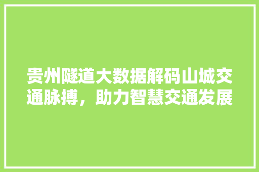 贵州隧道大数据解码山城交通脉搏，助力智慧交通发展  第1张