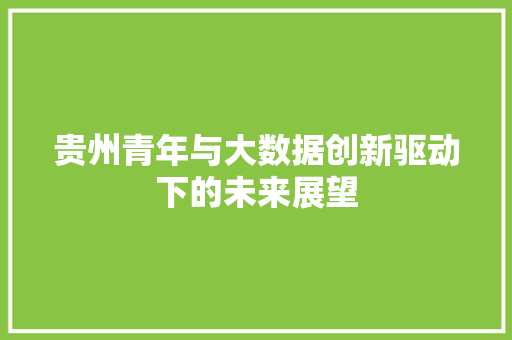 贵州青年与大数据创新驱动下的未来展望