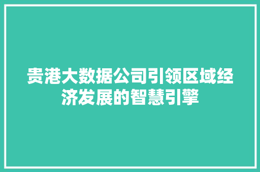 贵港大数据公司引领区域经济发展的智慧引擎