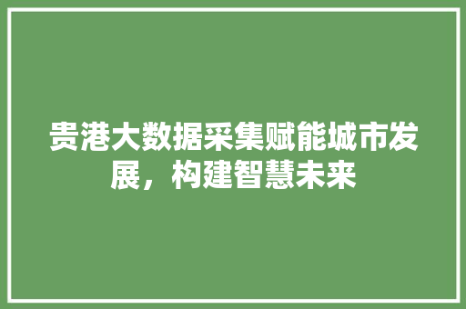 贵港大数据采集赋能城市发展，构建智慧未来  第1张