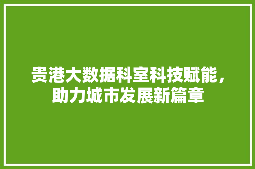 贵港大数据科室科技赋能，助力城市发展新篇章