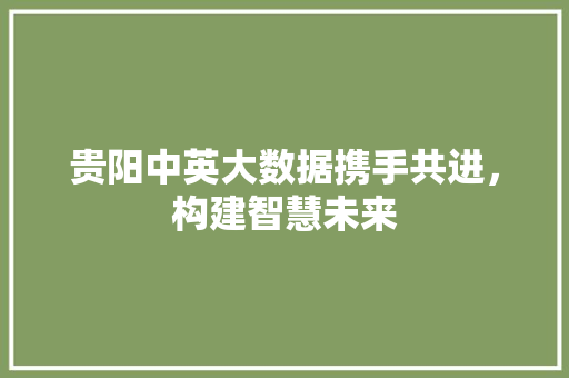 贵阳中英大数据携手共进，构建智慧未来
