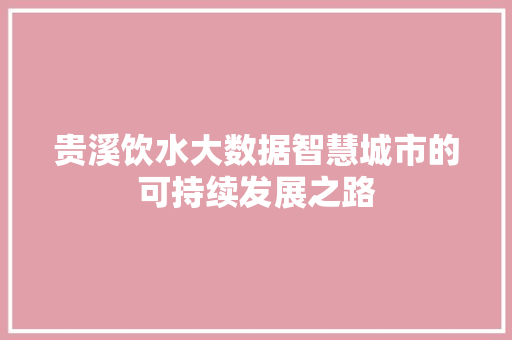 贵溪饮水大数据智慧城市的可持续发展之路