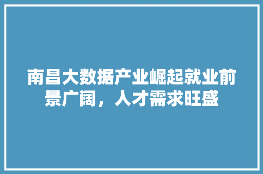 南昌大数据产业崛起就业前景广阔，人才需求旺盛  第1张