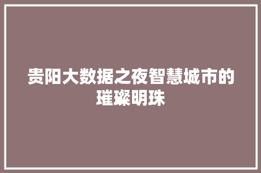 贵阳大数据之夜智慧城市的璀璨明珠  第1张