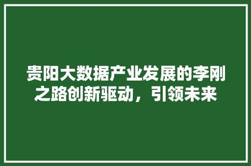 贵阳大数据产业发展的李刚之路创新驱动，引领未来
