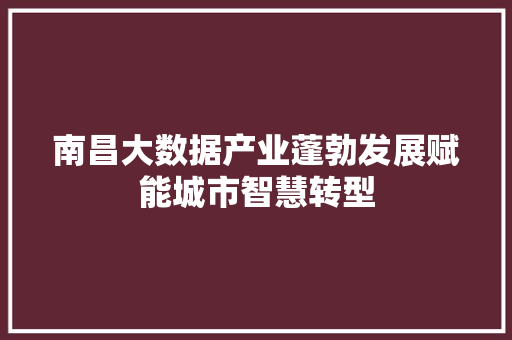 南昌大数据产业蓬勃发展赋能城市智慧转型