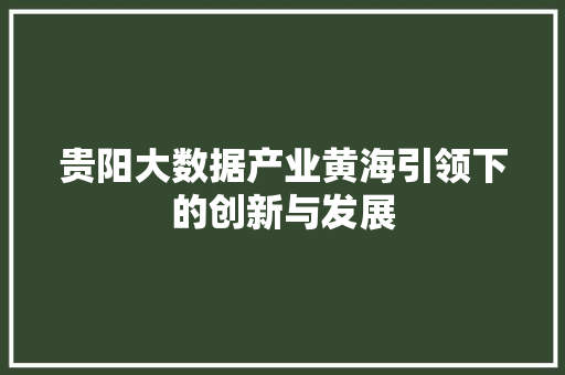 贵阳大数据产业黄海引领下的创新与发展