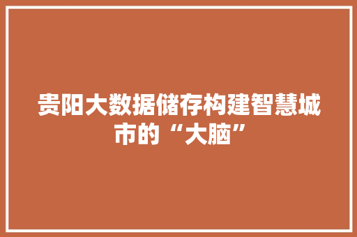 贵阳大数据储存构建智慧城市的“大脑”