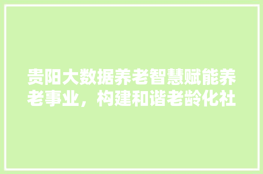 贵阳大数据养老智慧赋能养老事业，构建和谐老龄化社会