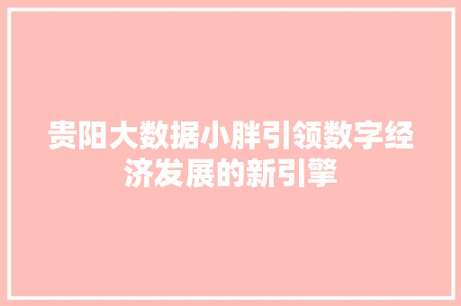 贵阳大数据小胖引领数字经济发展的新引擎  第1张