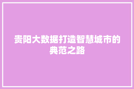 贵阳大数据打造智慧城市的典范之路