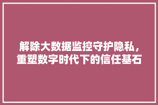解除大数据监控守护隐私，重塑数字时代下的信任基石