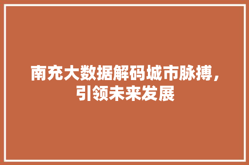 南充大数据解码城市脉搏，引领未来发展