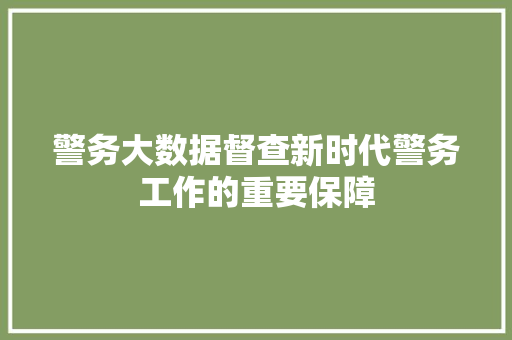 警务大数据督查新时代警务工作的重要保障  第1张