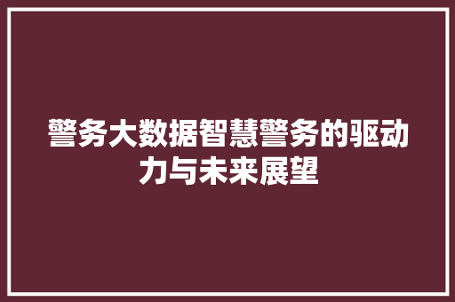 警务大数据智慧警务的驱动力与未来展望  第1张