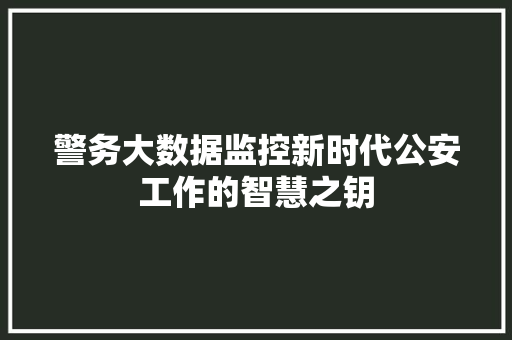 警务大数据监控新时代公安工作的智慧之钥  第1张