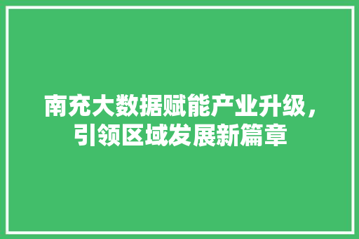 南充大数据赋能产业升级，引领区域发展新篇章
