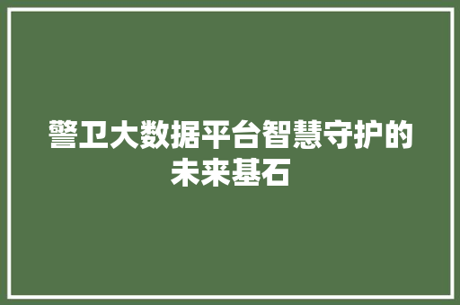 警卫大数据平台智慧守护的未来基石